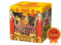 Красивая жизнь Фейерверк купить в Задонске | zadonsk.salutsklad.ru