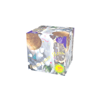 Новогодняя ночь Салют купить в Задонске | zadonsk.salutsklad.ru