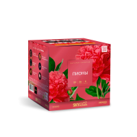 Пионы Салют купить в Задонске | zadonsk.salutsklad.ru