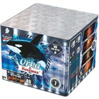 Косатка Фейерверк купить в Задонске | zadonsk.salutsklad.ru