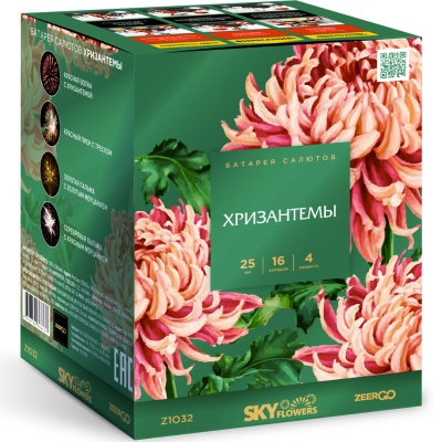 Хризантемы Фейерверк купить в Задонске | zadonsk.salutsklad.ru