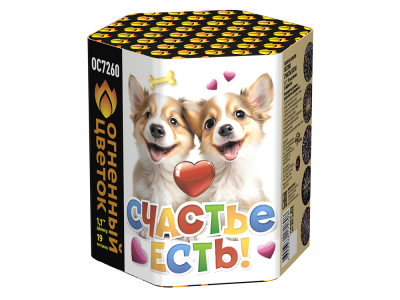 Счастье есть! Салют купить в Задонске | zadonsk.salutsklad.ru